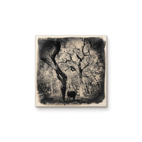 Cow with Trees