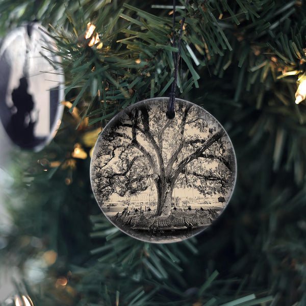 Arcadia Park Tree