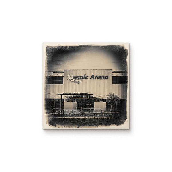 Mosaic Arena