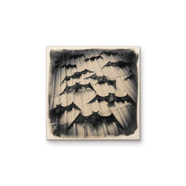 Bats