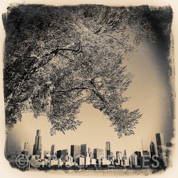 Artsy Chicago Skyline