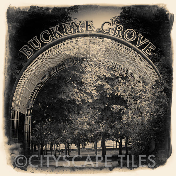 Buckeye Grove
