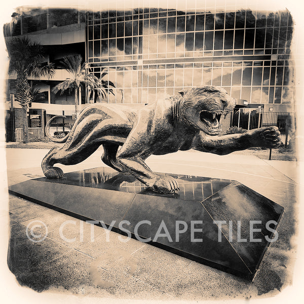Jacksonville Jaguars