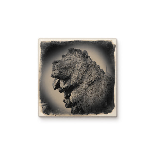 Chicago Art Institute Lion