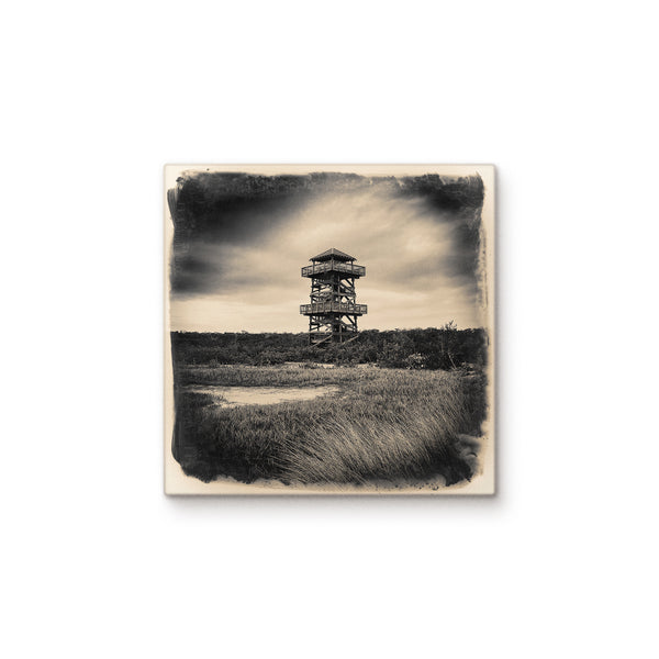 Observation Tower at Robinson Preserve