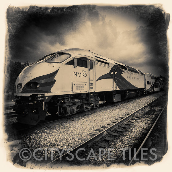 Rail Runner