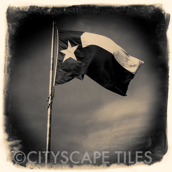 Texas Flag