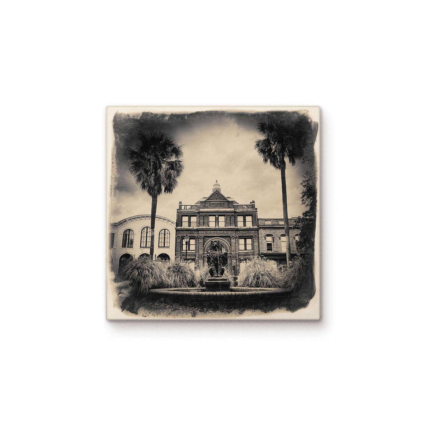 Savannah Cotton Exchange
