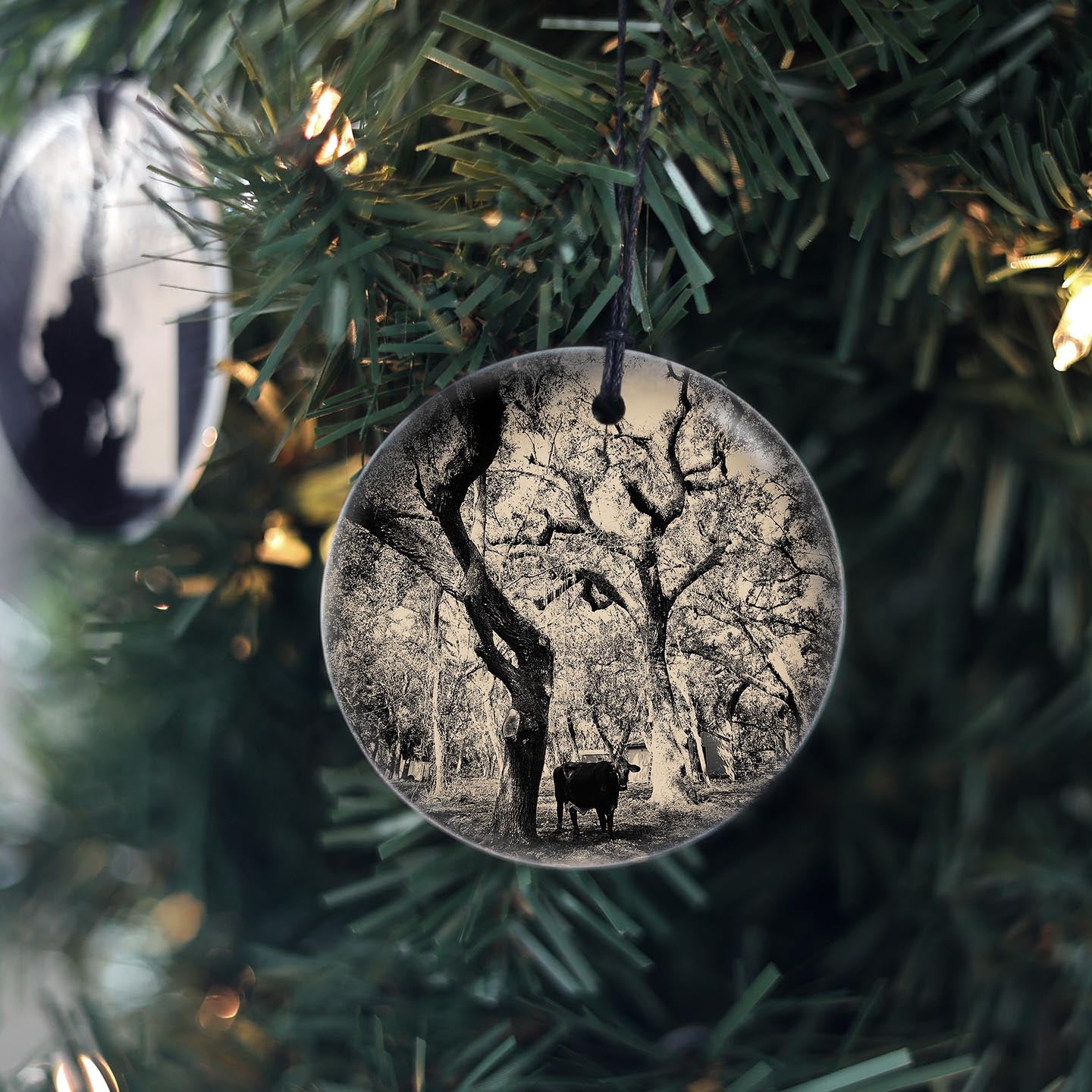 Cow with Trees