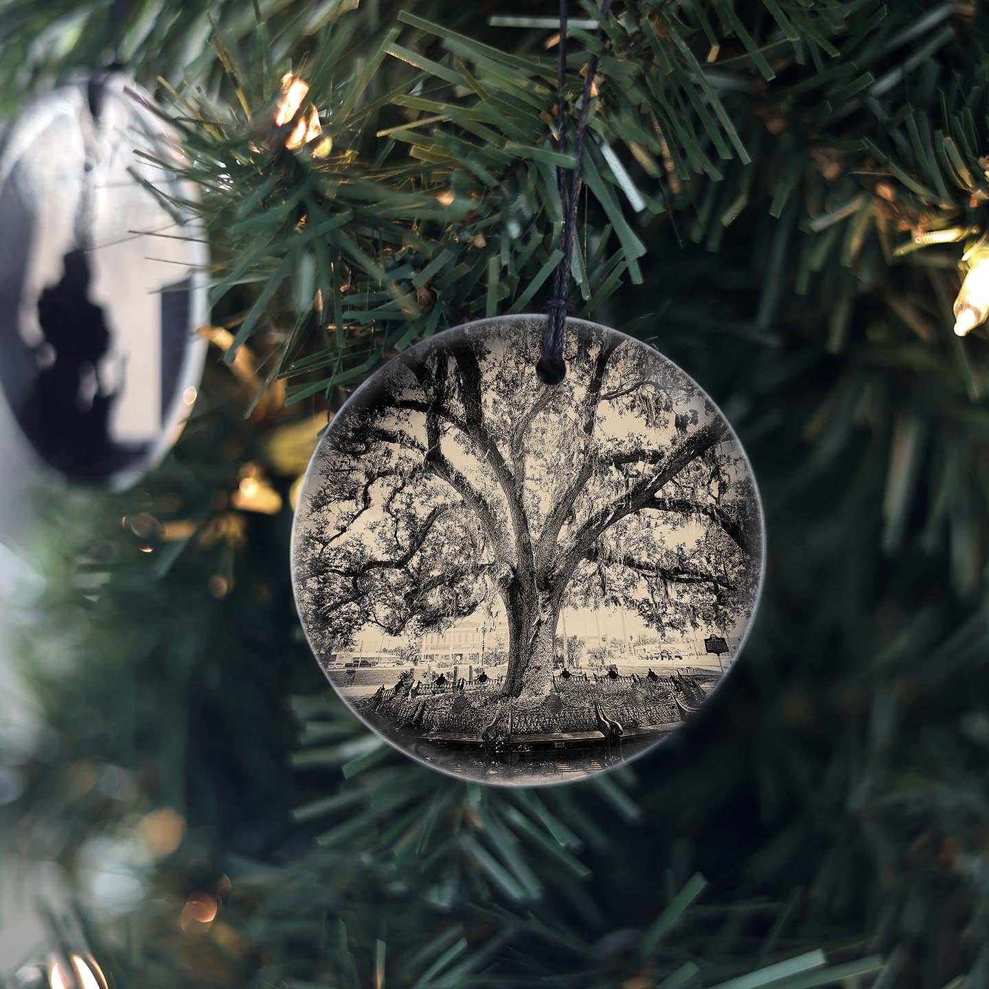 Arcadia Park Tree