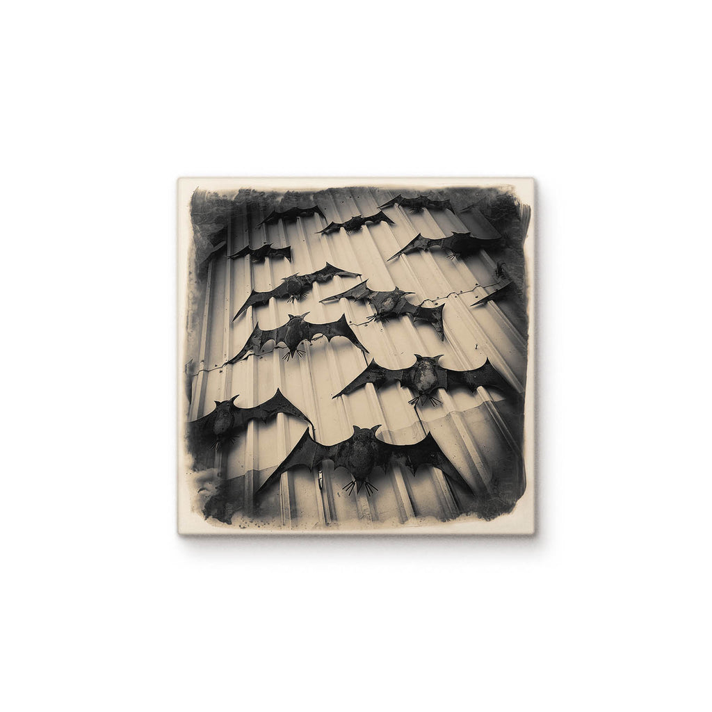 Bats