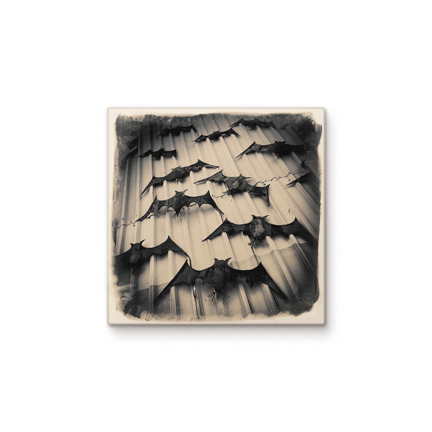 Bats