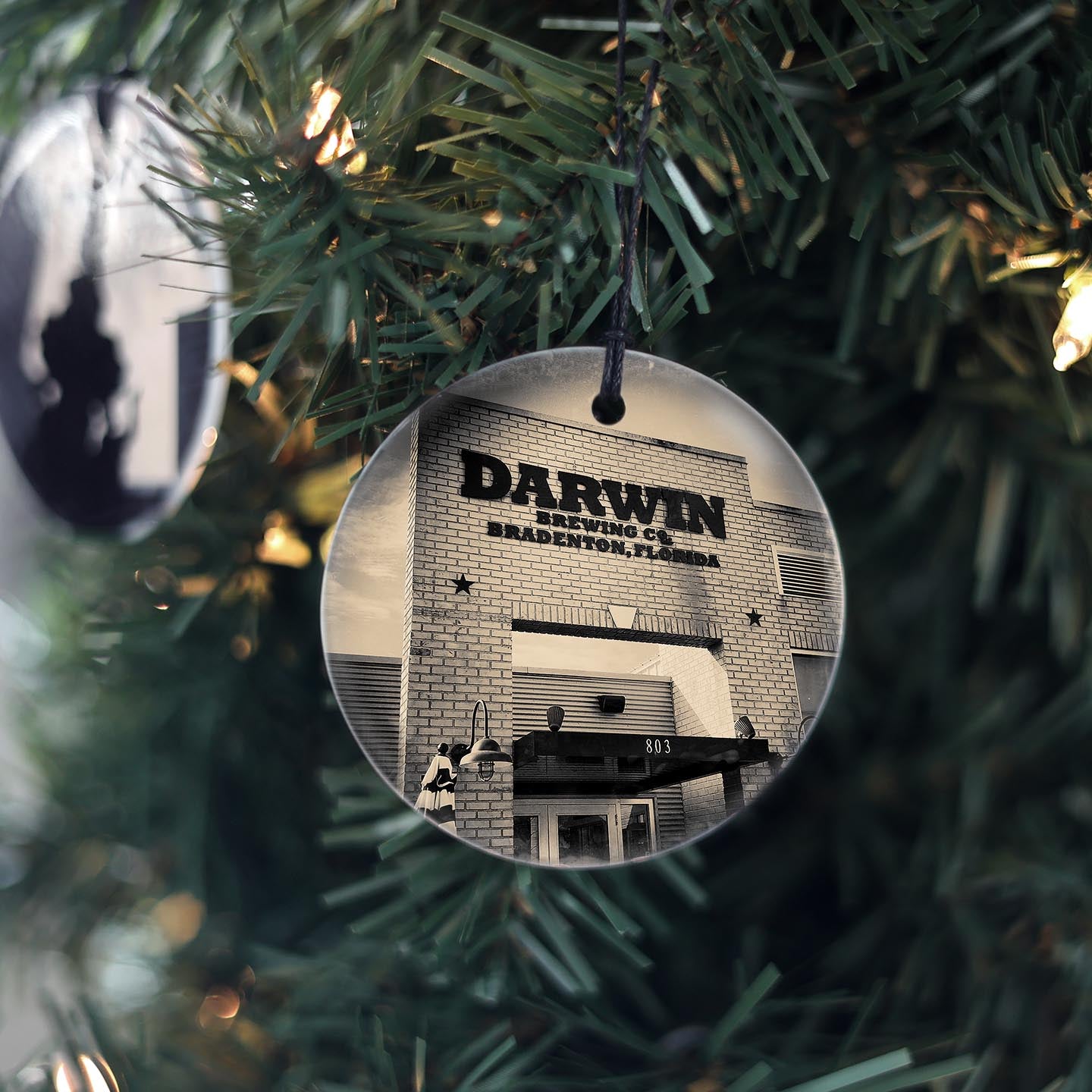 Darwin Brewing