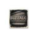 Buffalo Manhole Cover