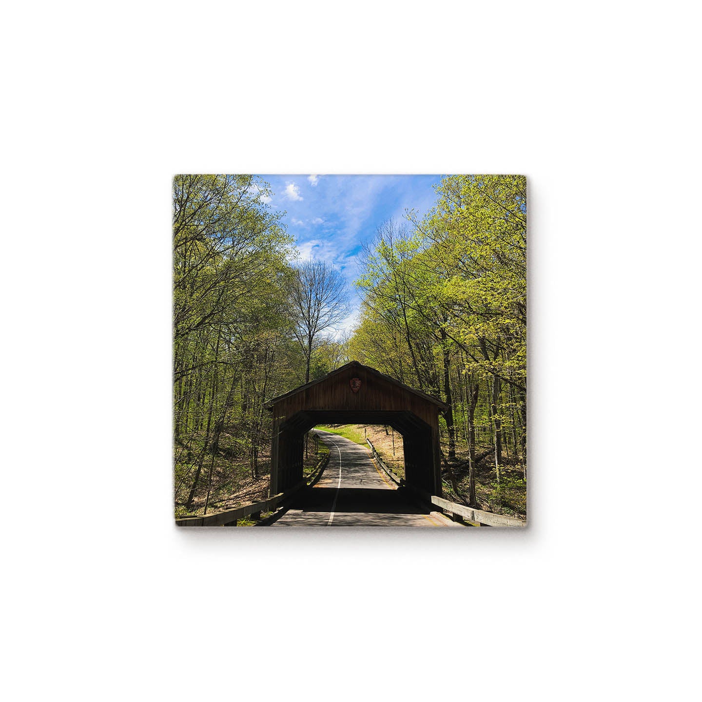 National Park Covered Bridge Color