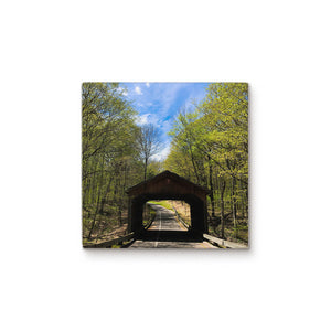 National Park Covered Bridge Color