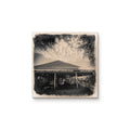 Cafe Du Monde
