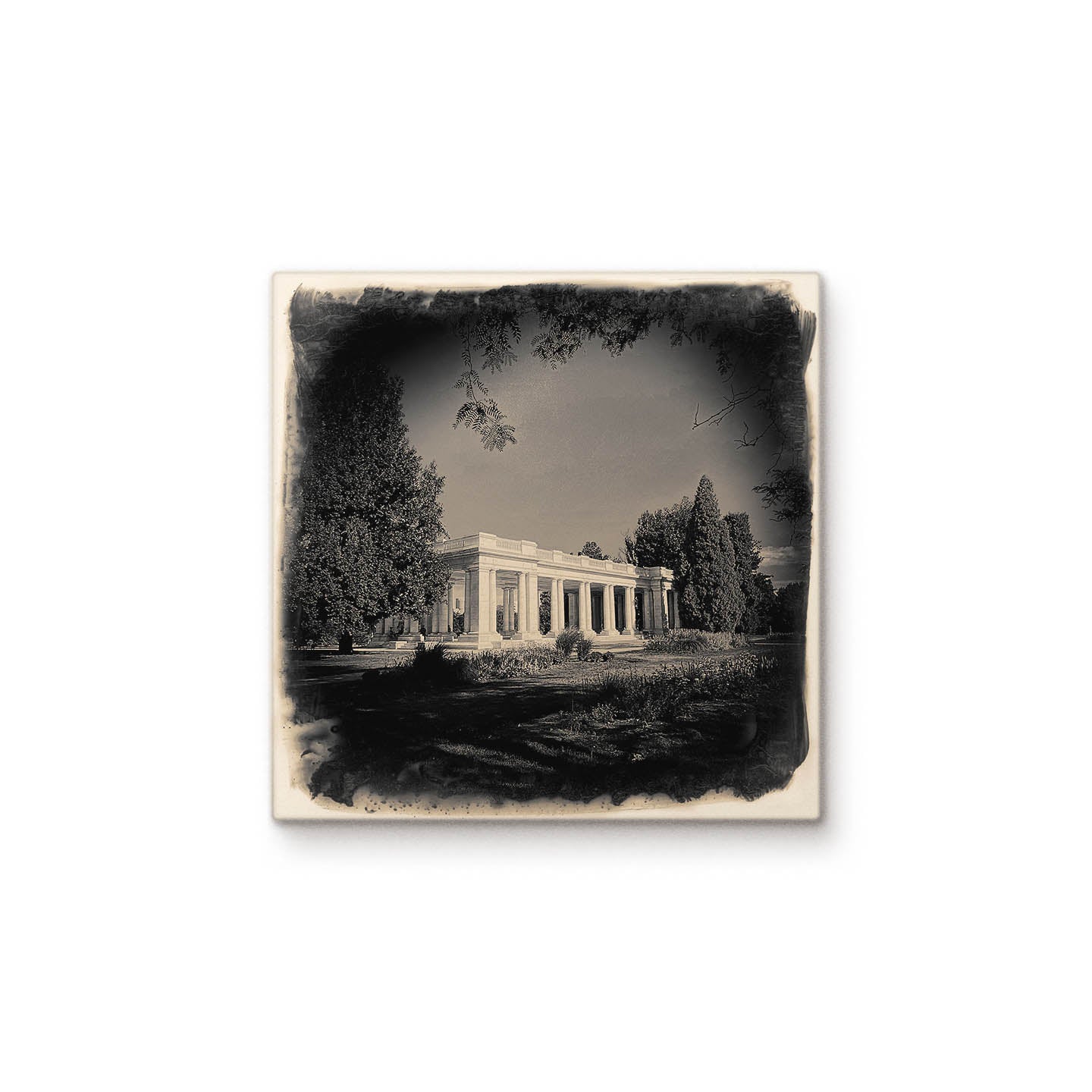 Cheesman Park