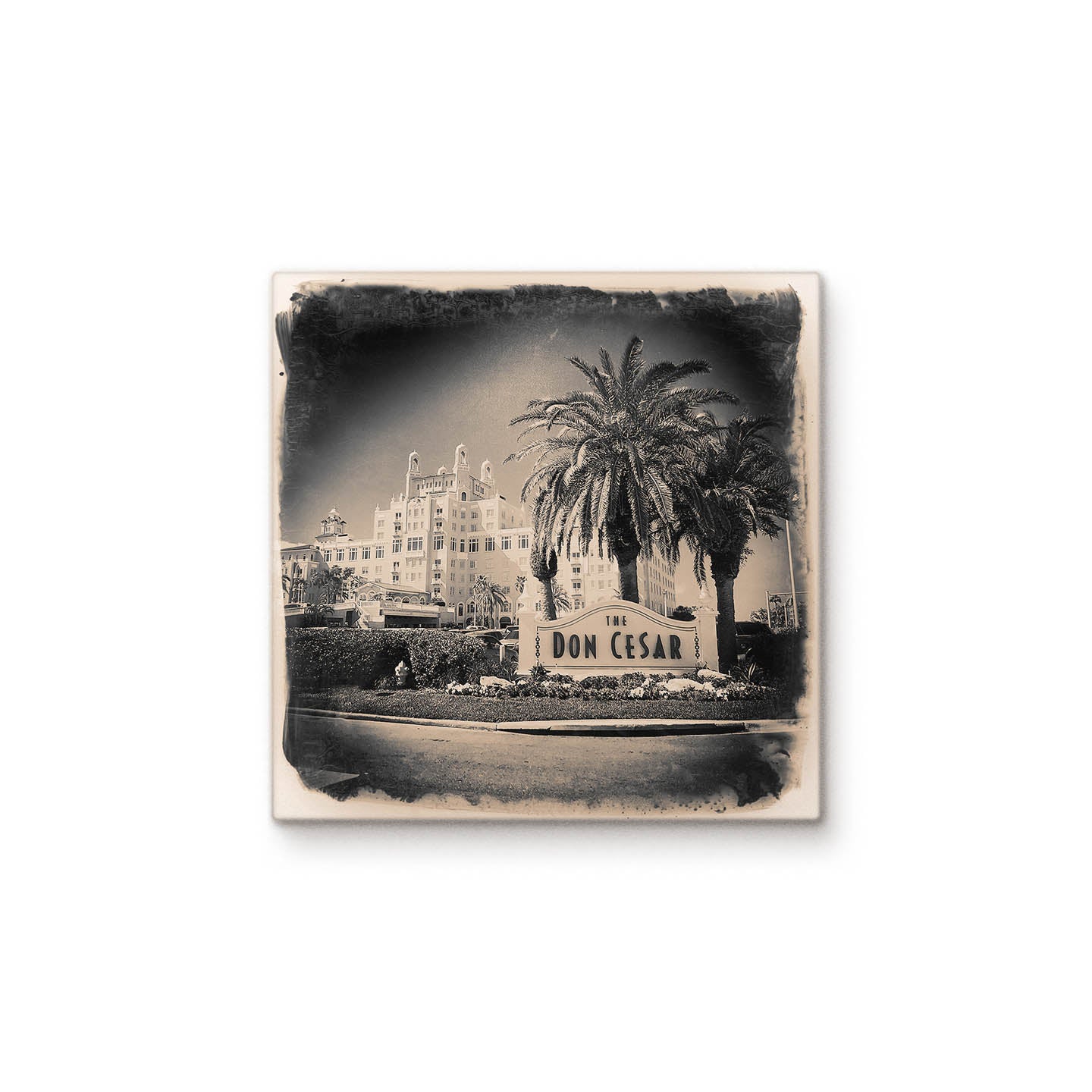 The Don Cesar