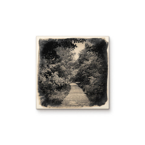 Dunn Woods
