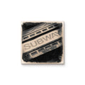 Harlem Subway