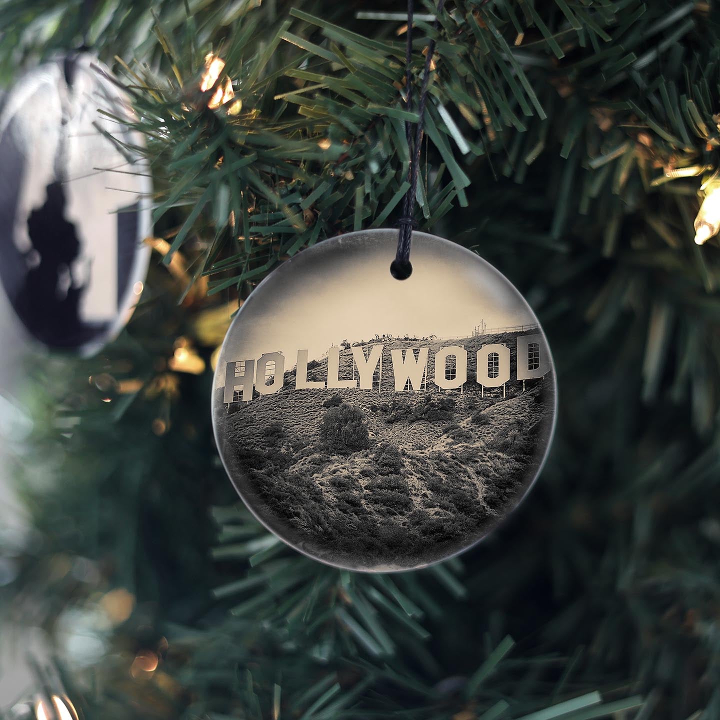 Hollywood Sign Close-up