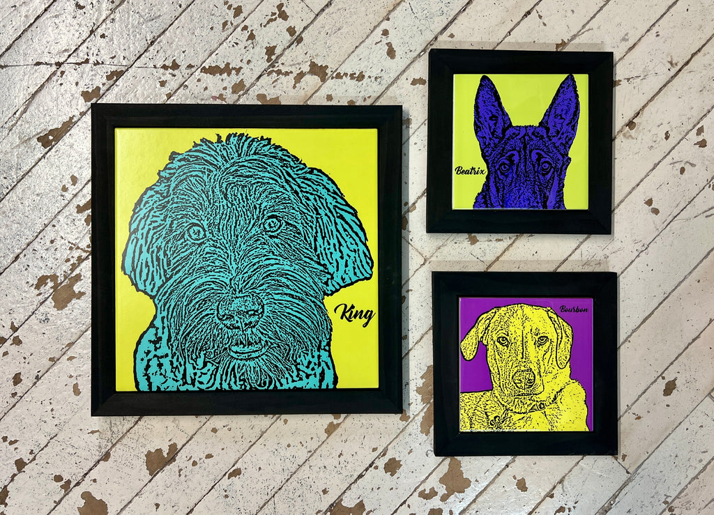 Pet Portraits