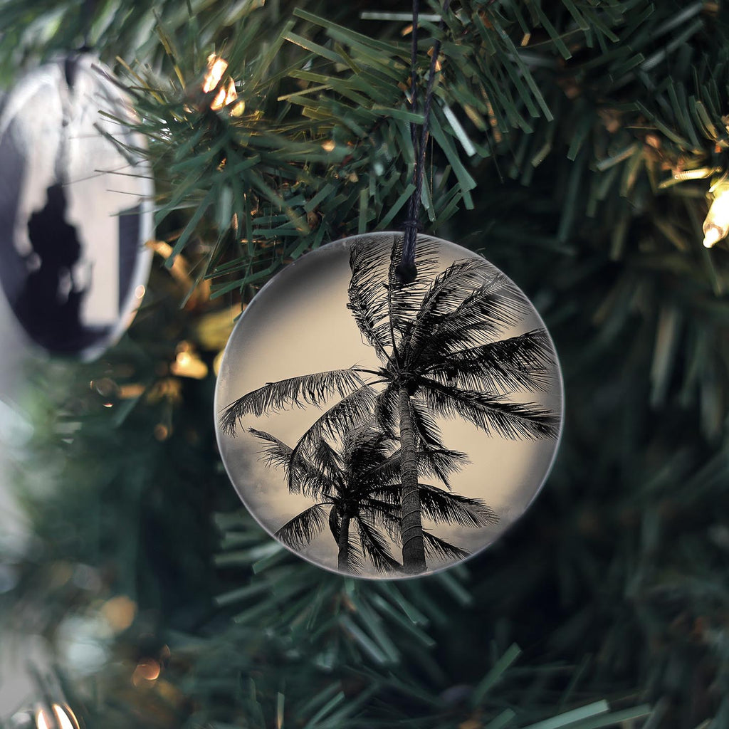 Palm Trees