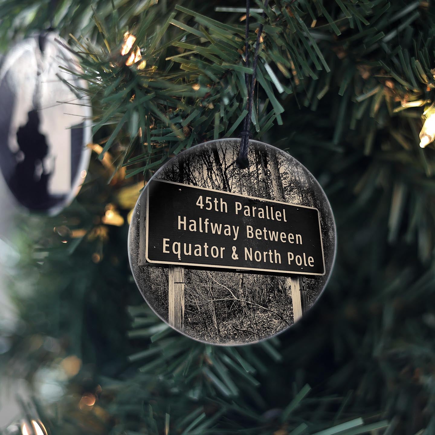 45th Parallel Sign