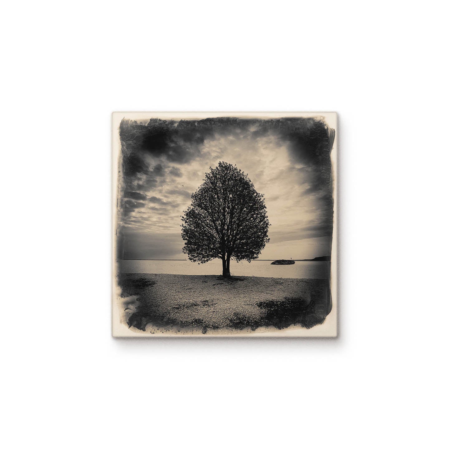 Lake Huron Tree