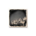 Painted Ladies