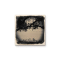 Tampa Skyline with Trees