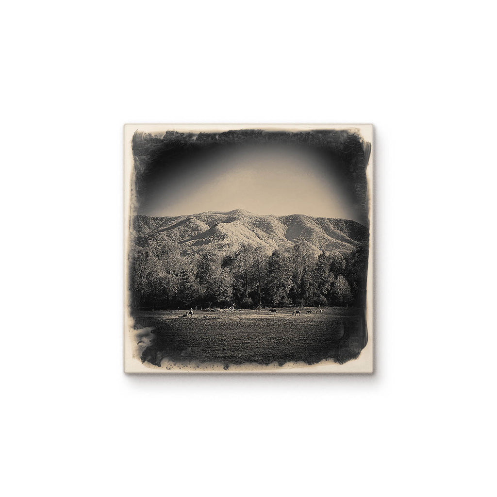 Horse Field with Mountains