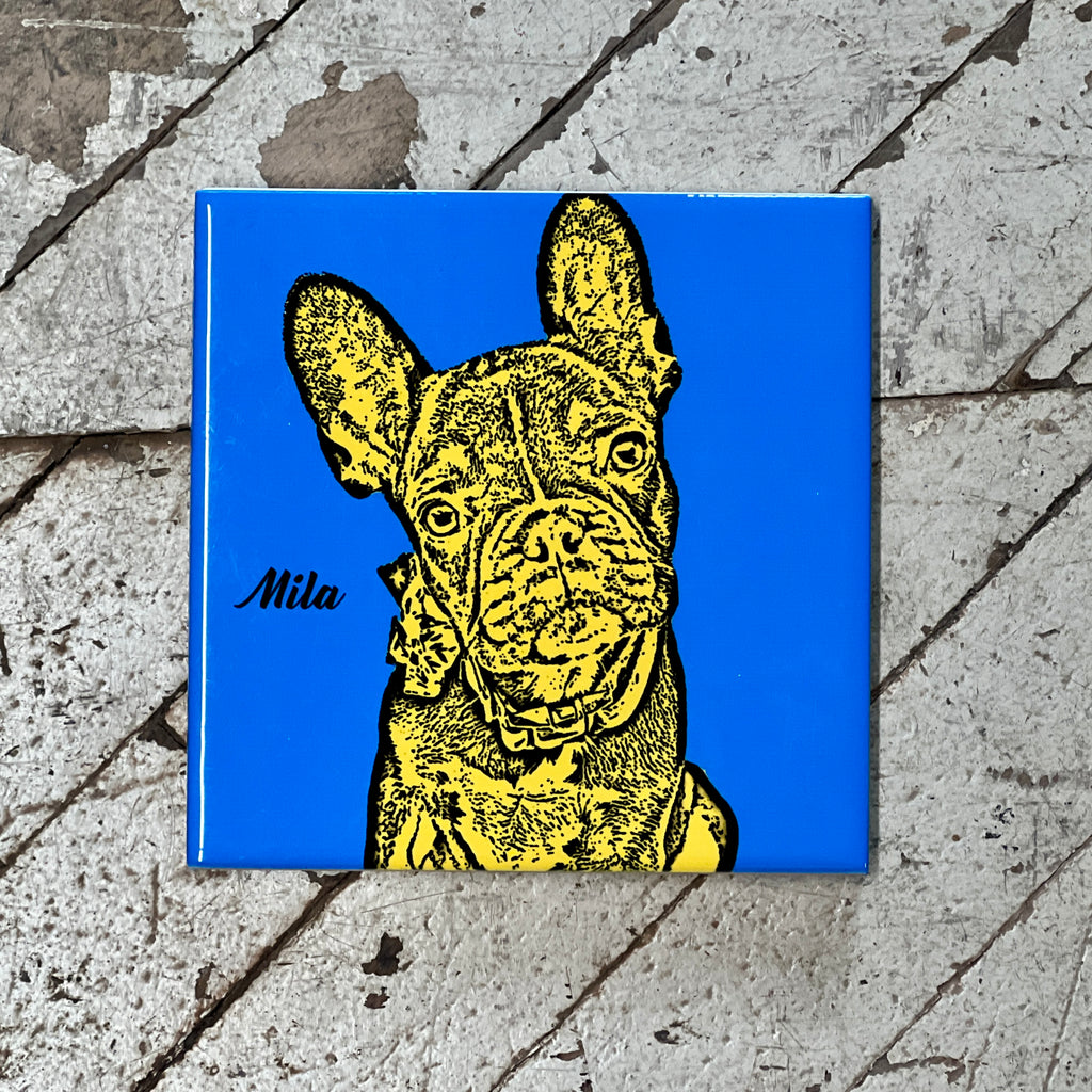 Pet Portraits