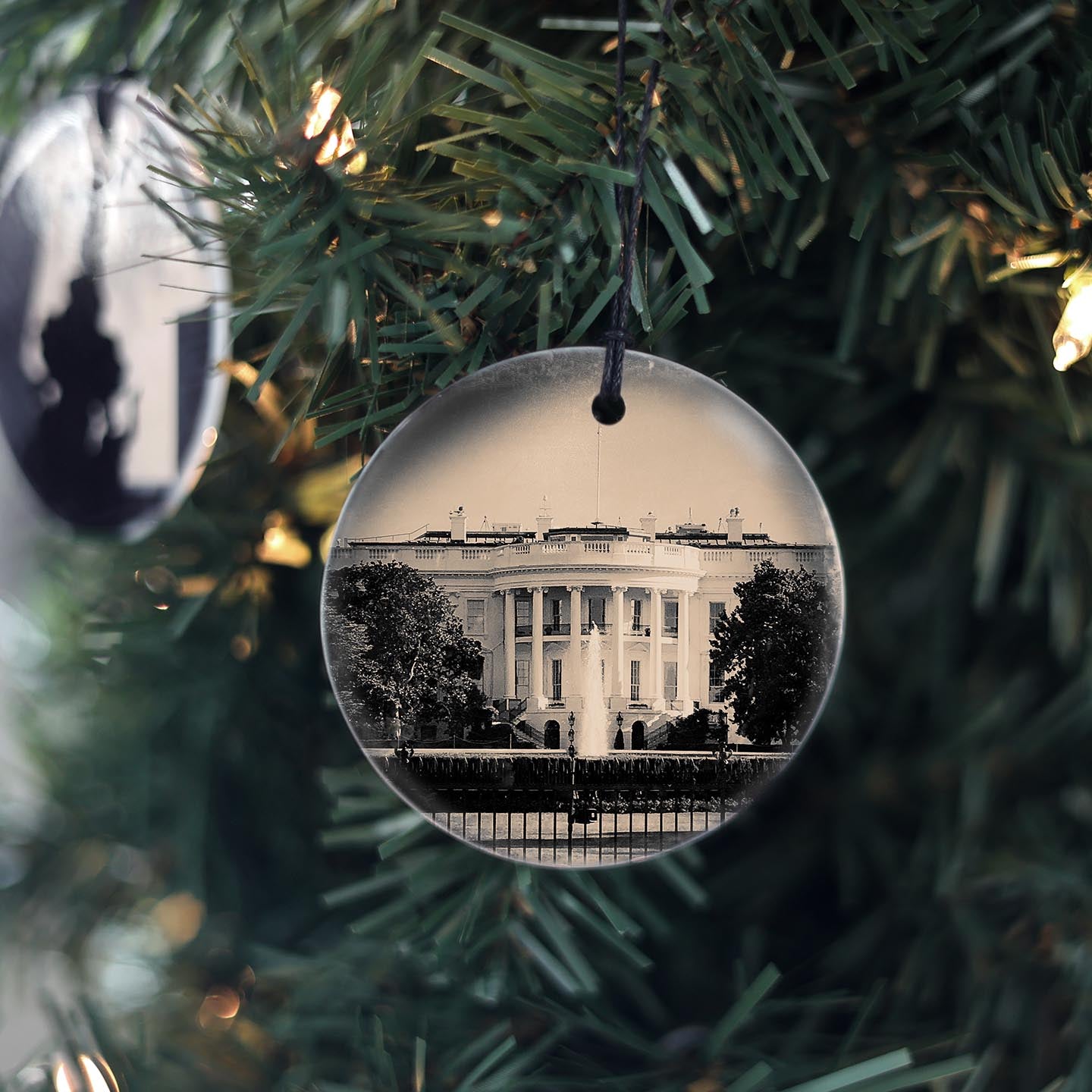 The White House