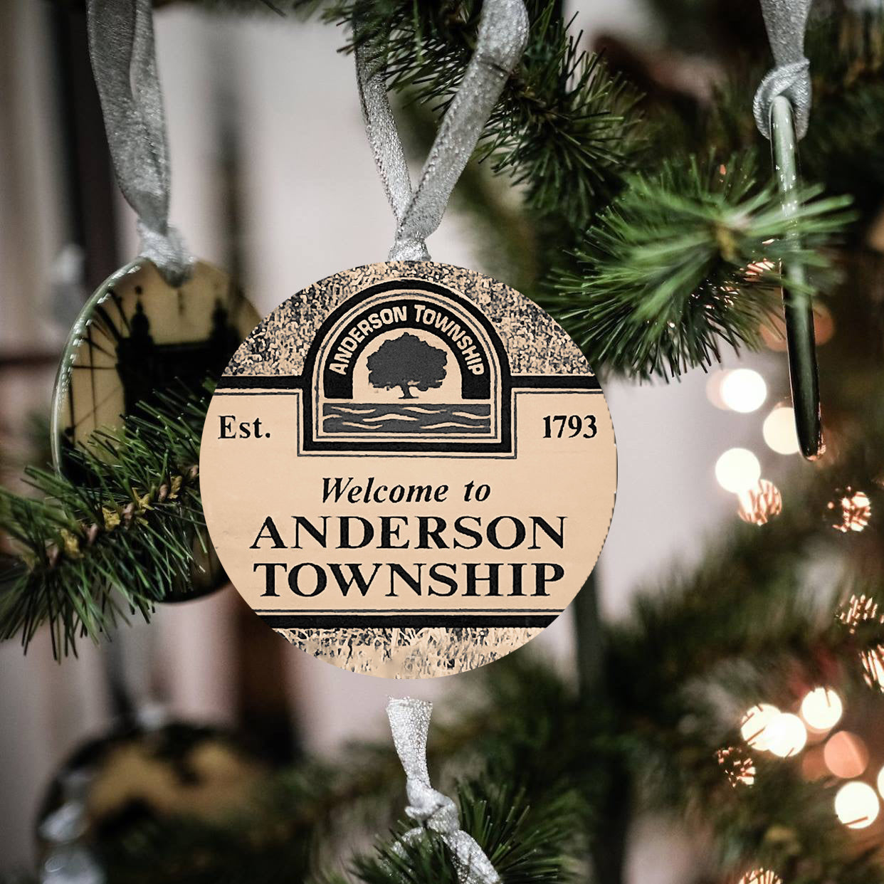 Anderson Township