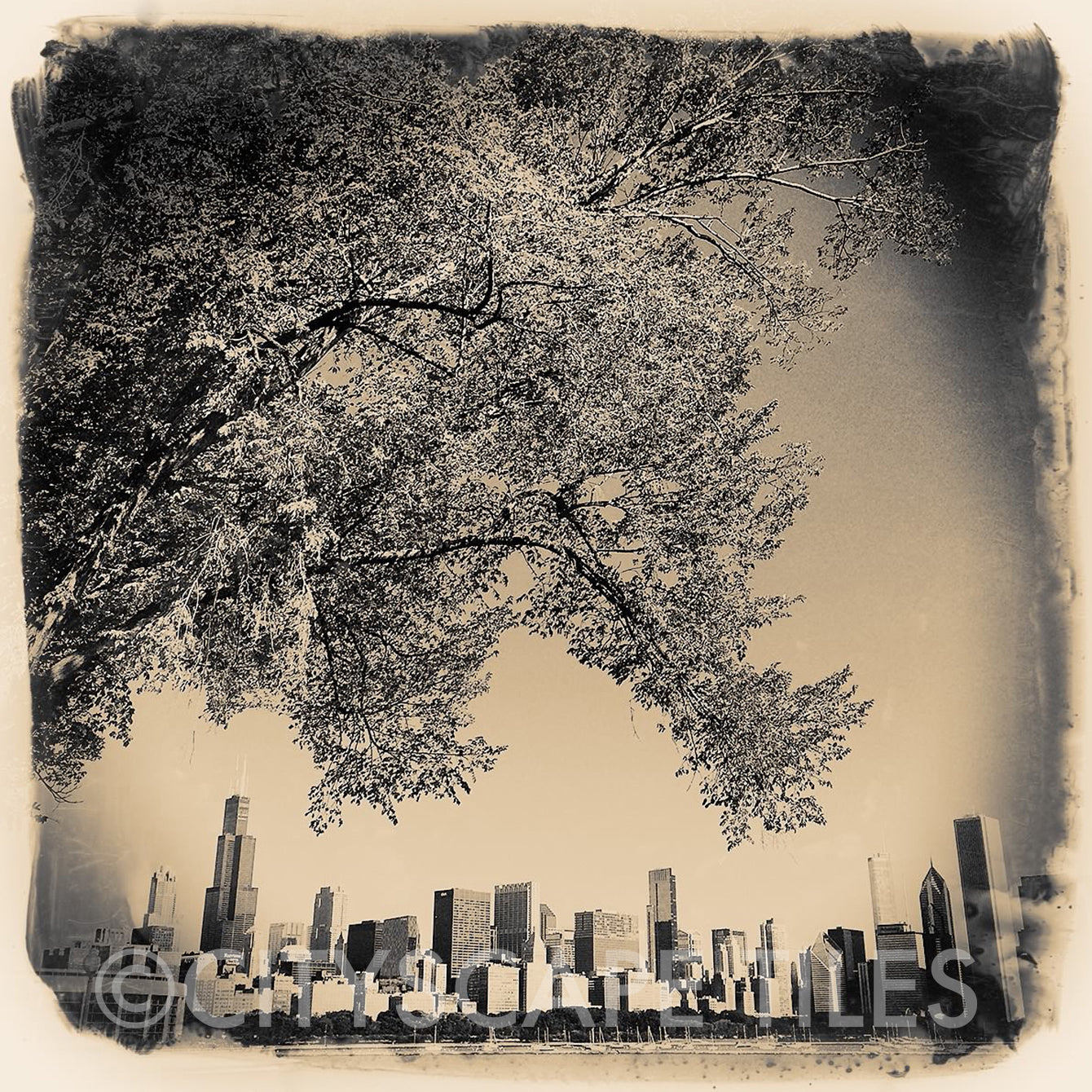 Artsy Chicago Skyline