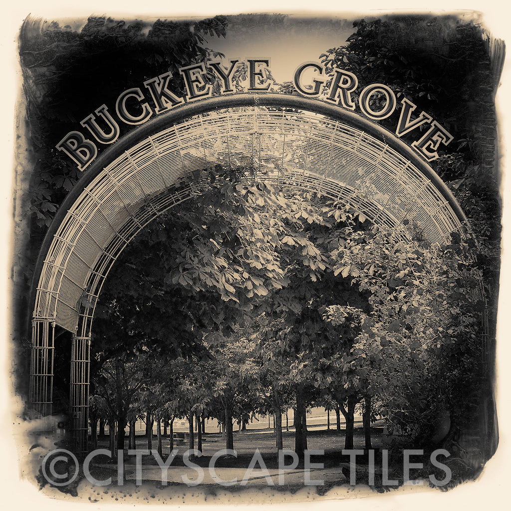 Buckeye Grove