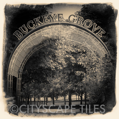 Buckeye Grove