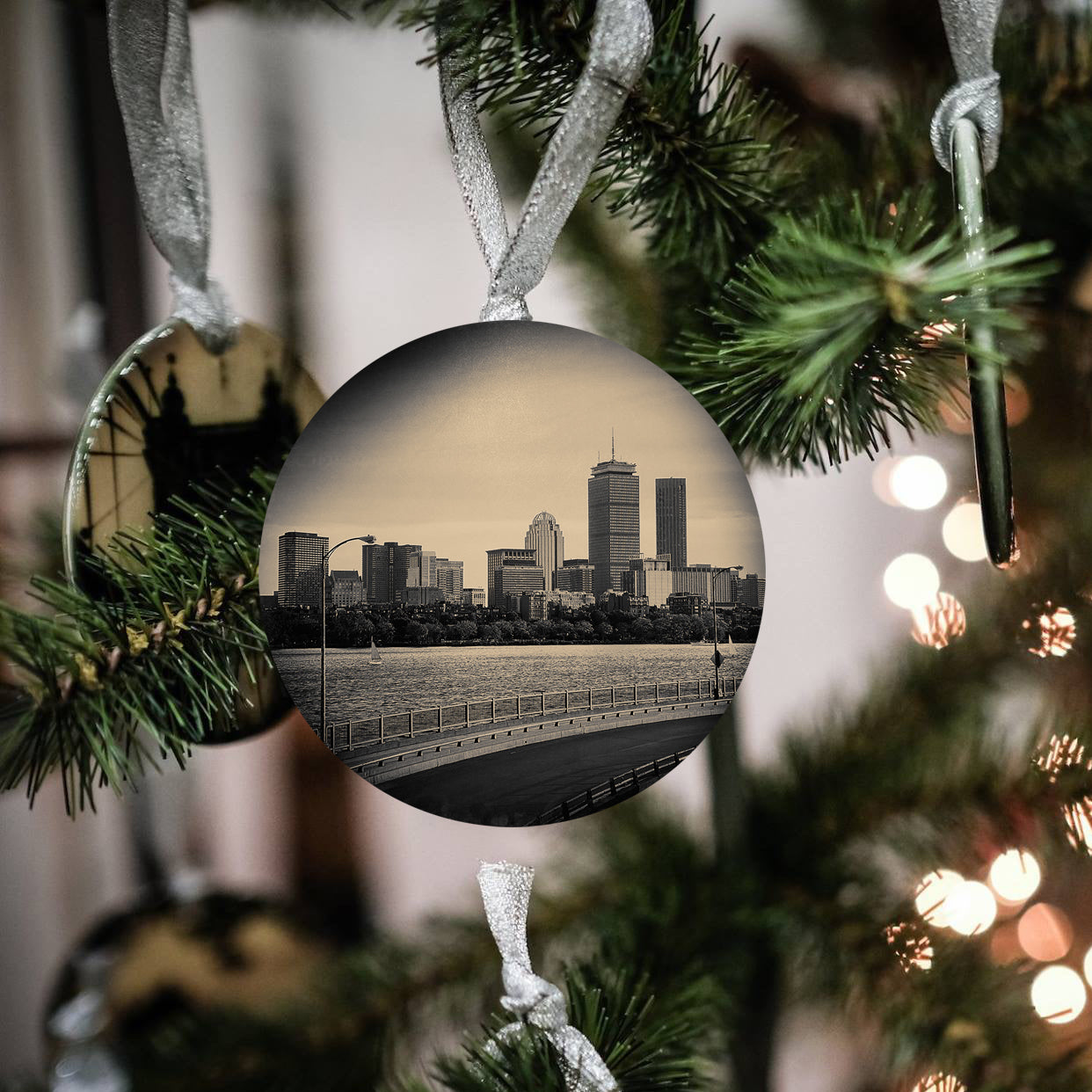 Boston Skyline