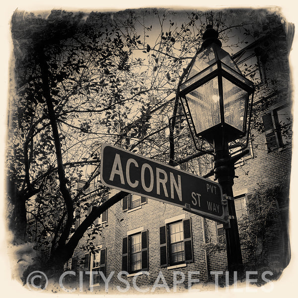 Acorn Street Sign