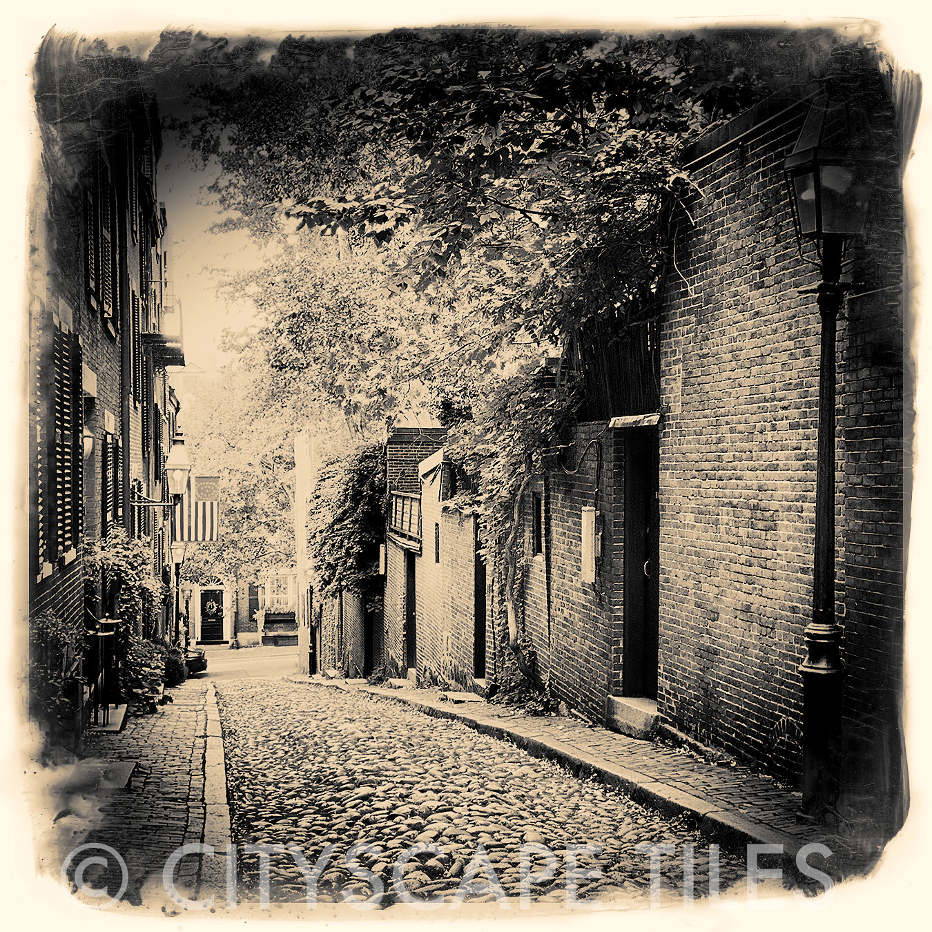 Acorn Street