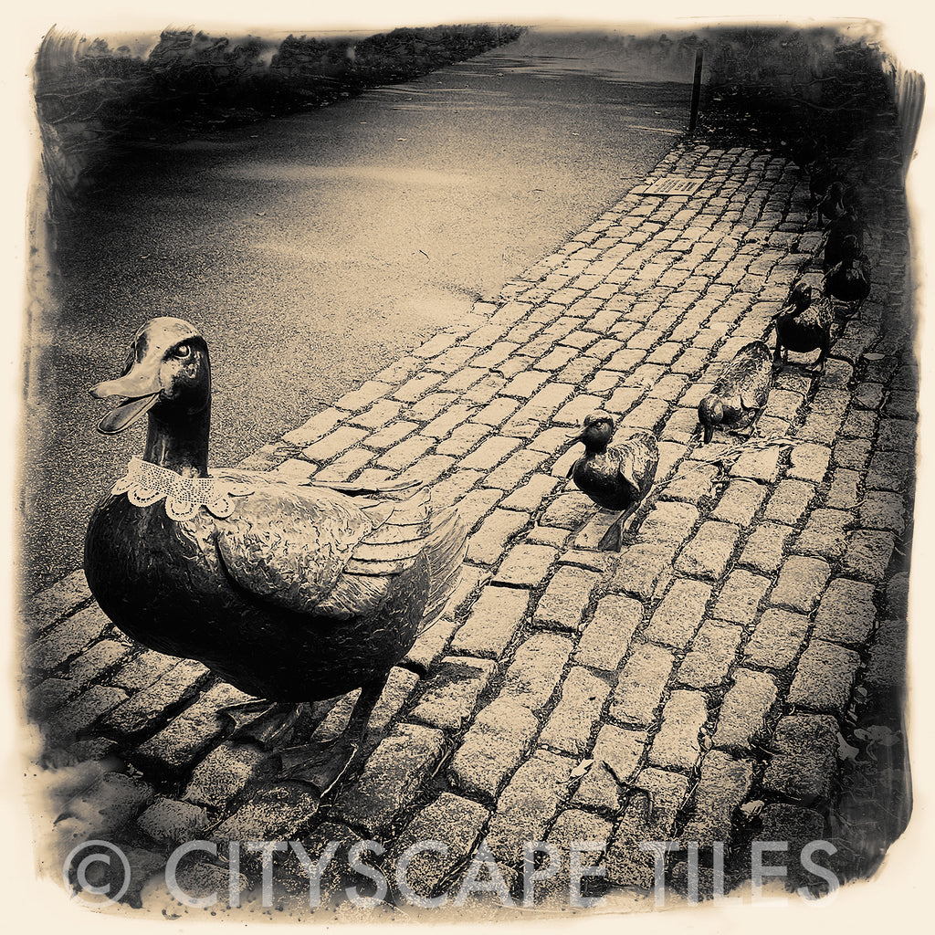 Make Way for Ducklings