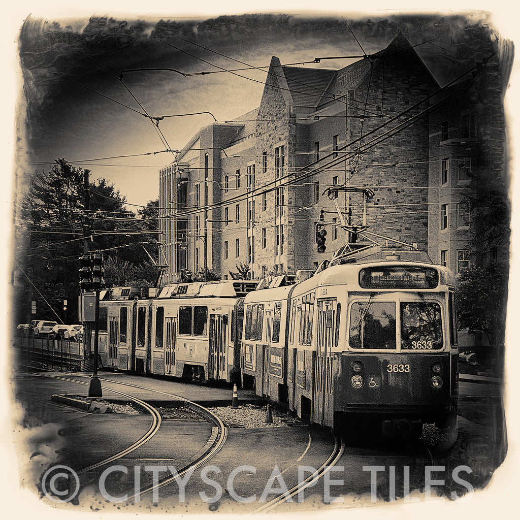 The T