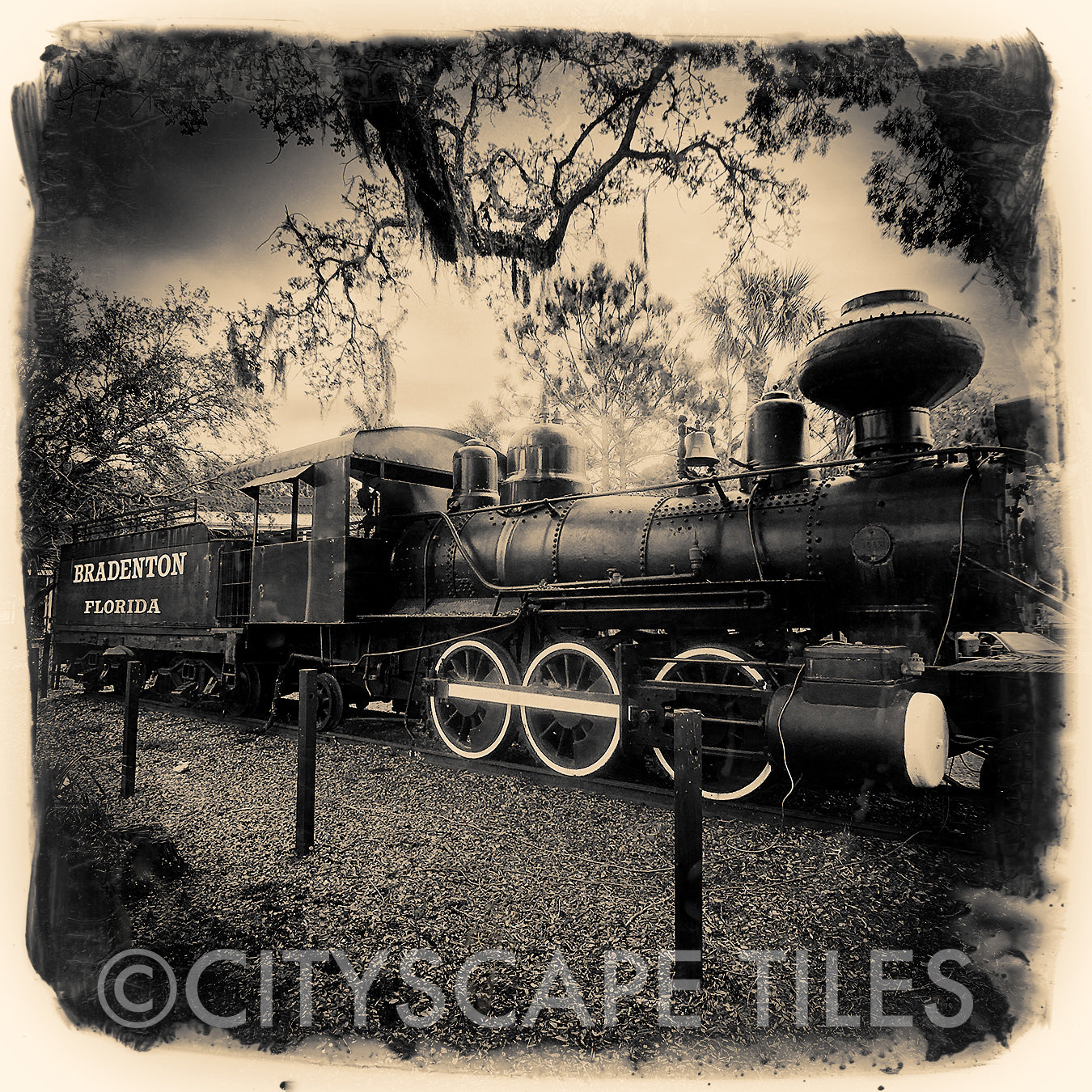Bradenton Train