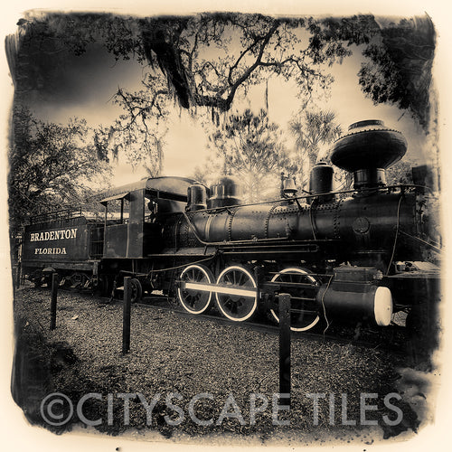 Bradenton Train
