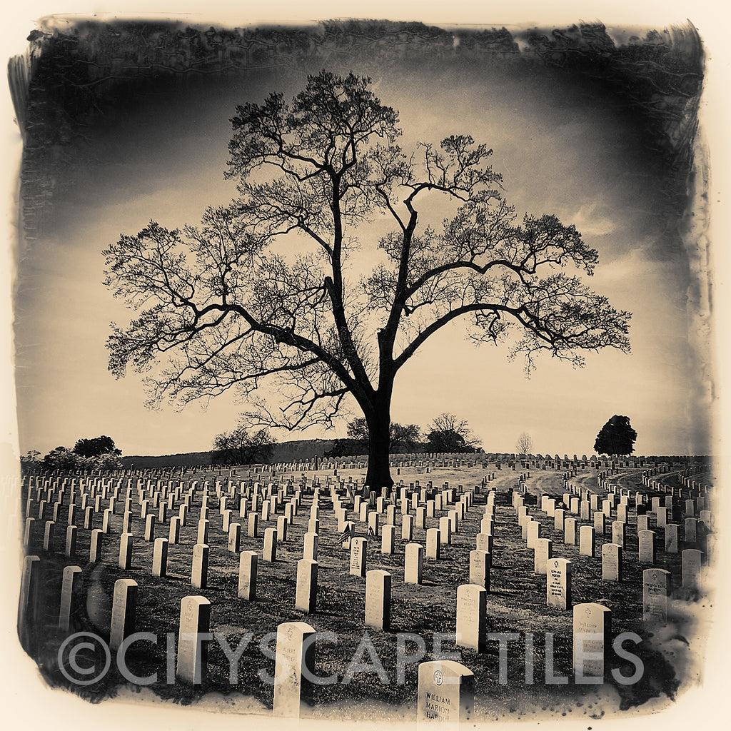 Chattanooga National Cemetery