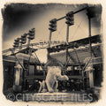 Comerica Park