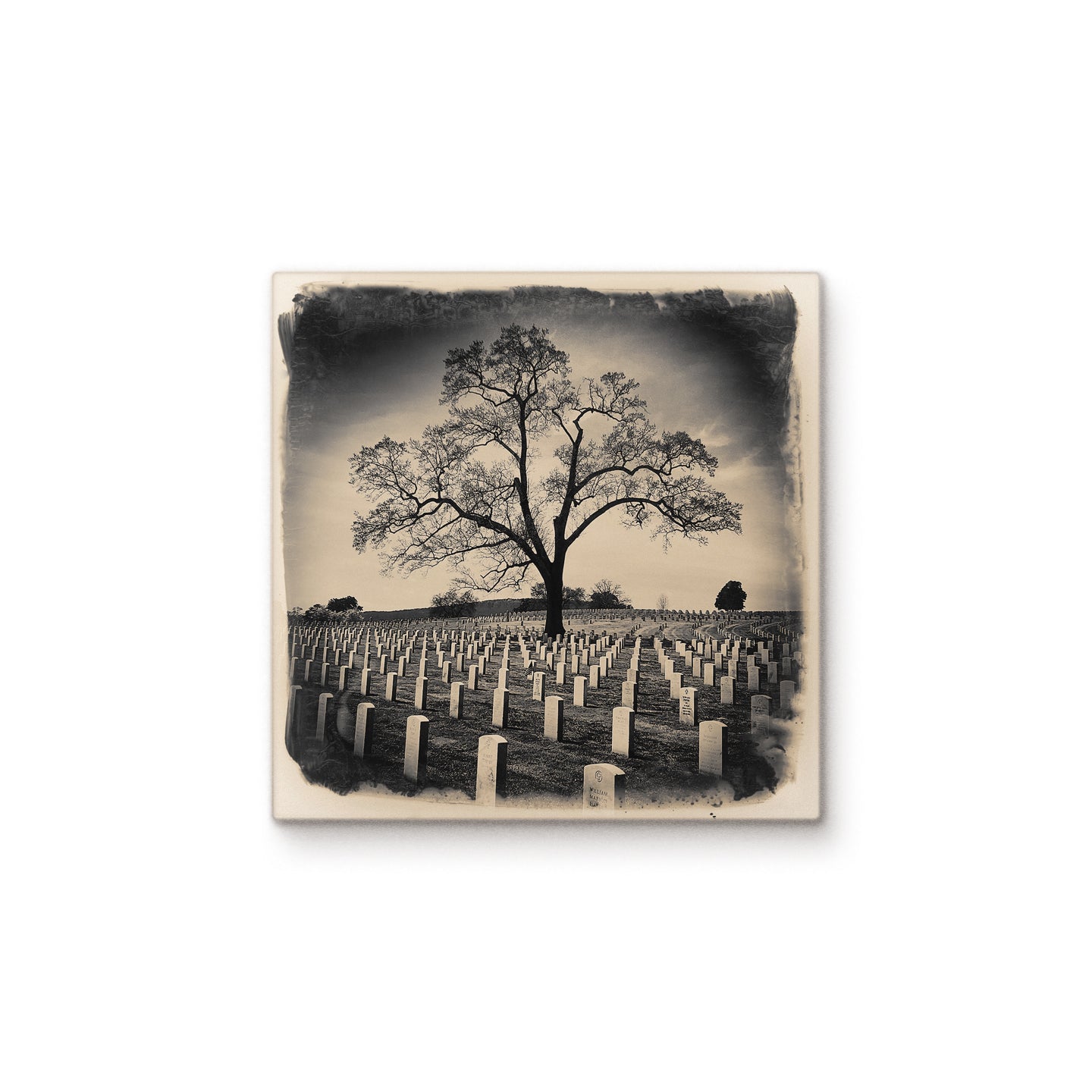 Chattanooga National Cemetery