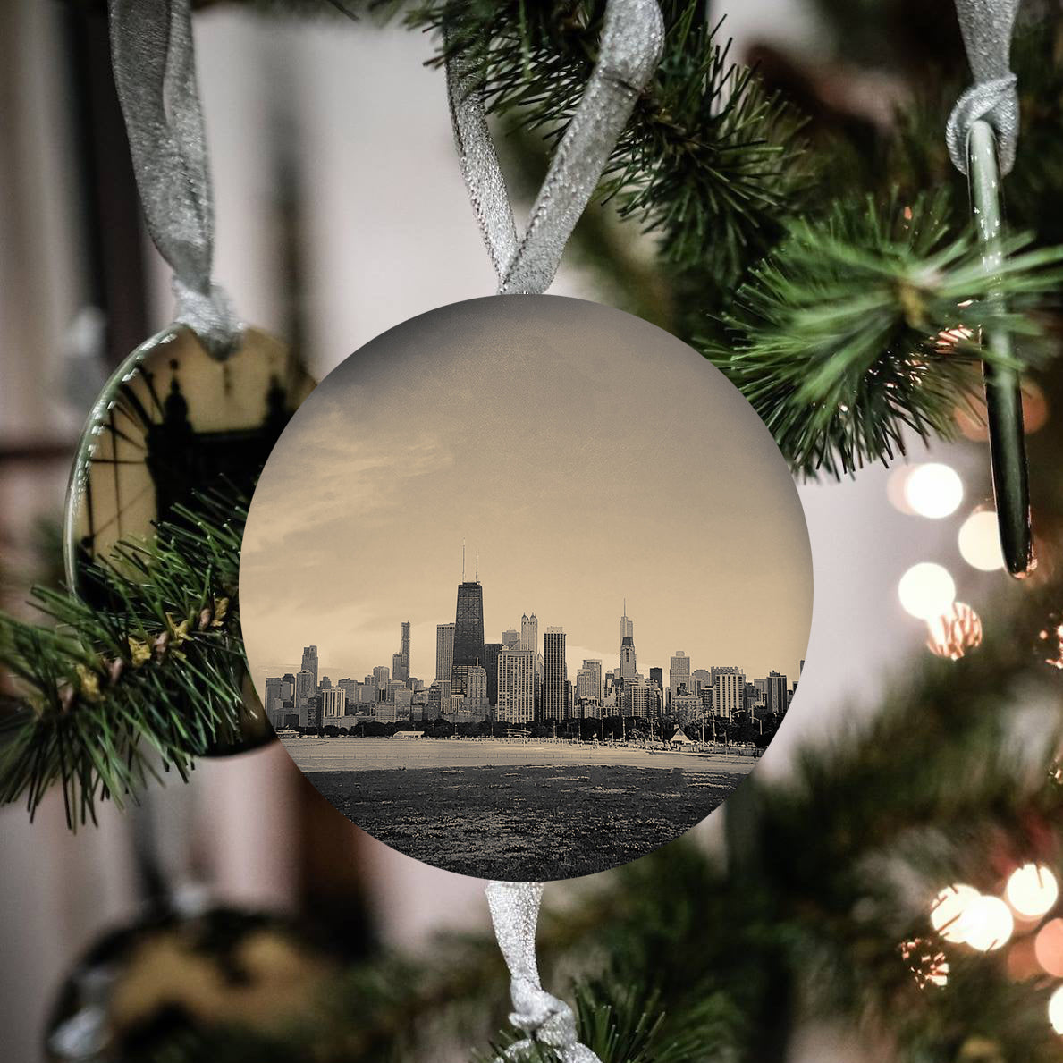 Chicago Skyline
